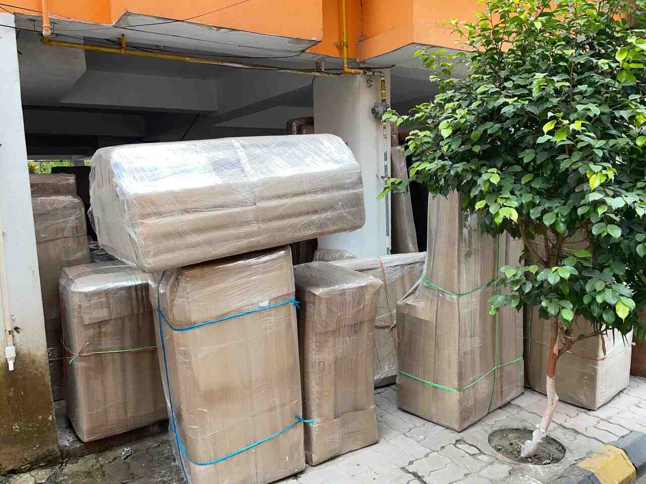 Patna Packers team delivering items inside home in Patna